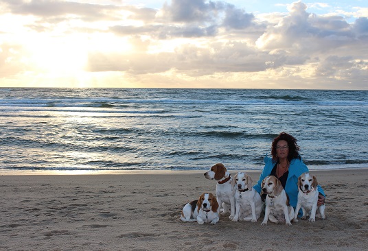 01.09.2016 Am Strand mit den Hunden