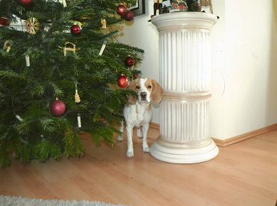24.12.2012 Änni 24.12.2012 Änni