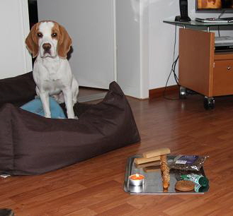 29.11.20121.Geburtstag B.J. 29.11.20121.Geburtstag B.J.